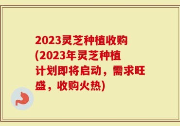2023灵芝种植收购(2023年灵芝种植计划即将启动，需求旺盛，收购火热)