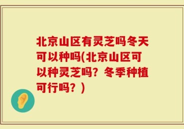 北京山区有灵芝吗冬天可以种吗(北京山区可以种灵芝吗？冬季种植可行吗？)