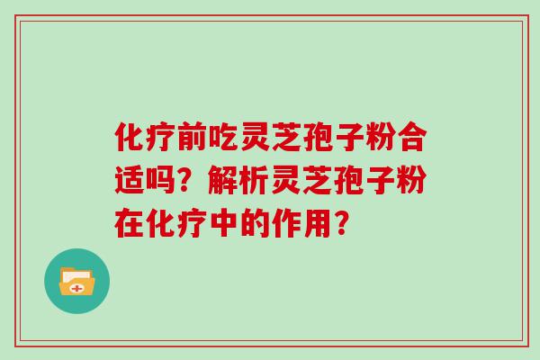 前吃灵芝孢子粉合适吗？解析灵芝孢子粉在中的作用？