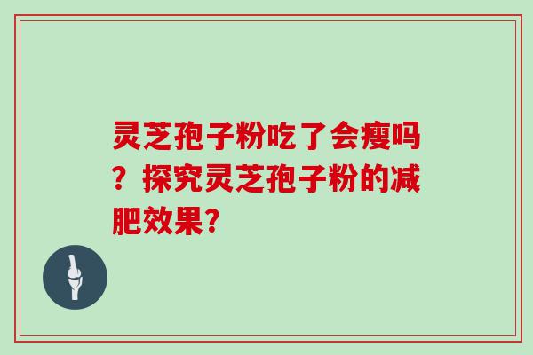 灵芝孢子粉吃了会瘦吗？探究灵芝孢子粉的效果？