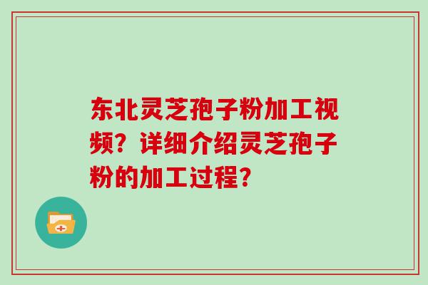 东北灵芝孢子粉加工视频？详细介绍灵芝孢子粉的加工过程？