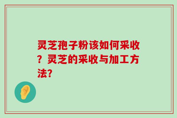 灵芝孢子粉该如何采收？灵芝的采收与加工方法？