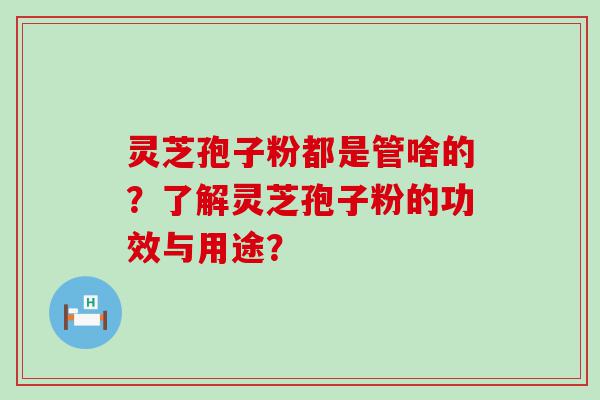 灵芝孢子粉都是管啥的？了解灵芝孢子粉的功效与用途？