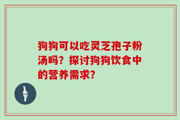 狗狗可以吃灵芝孢子粉汤吗？探讨狗狗饮食中的营养需求？