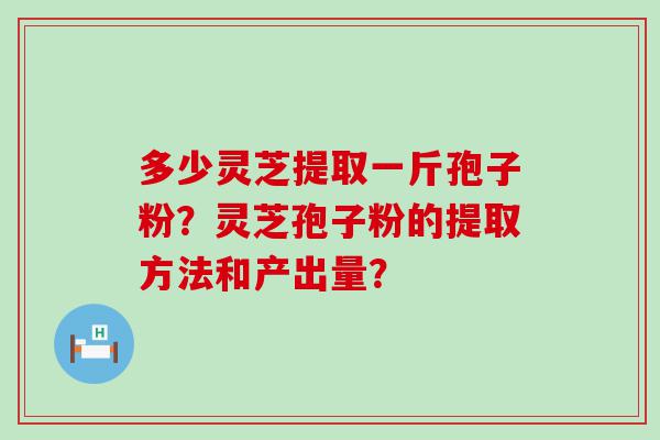 多少灵芝提取一斤孢子粉？灵芝孢子粉的提取方法和产出量？