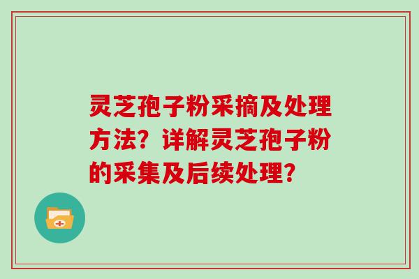 灵芝孢子粉采摘及处理方法？详解灵芝孢子粉的采集及后续处理？