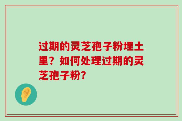 过期的灵芝孢子粉埋土里？如何处理过期的灵芝孢子粉？