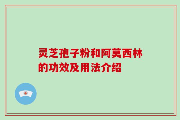 灵芝孢子粉和阿莫西林的功效及用法介绍