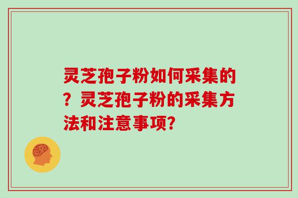 灵芝孢子粉如何采集的？灵芝孢子粉的采集方法和注意事项？