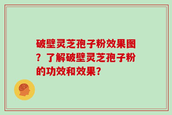 破壁灵芝孢子粉效果图？了解破壁灵芝孢子粉的功效和效果？