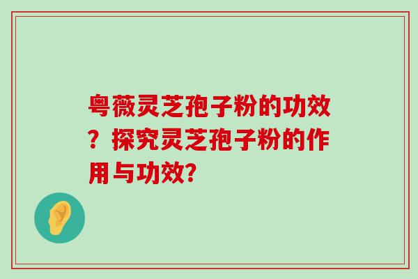 粤薇灵芝孢子粉的功效？探究灵芝孢子粉的作用与功效？