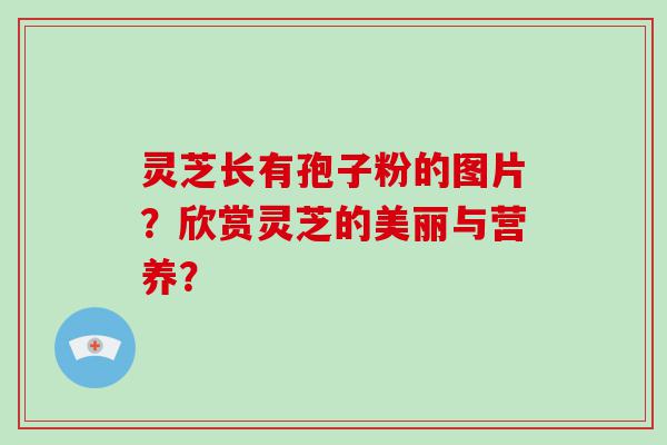 灵芝长有孢子粉的图片？欣赏灵芝的美丽与营养？