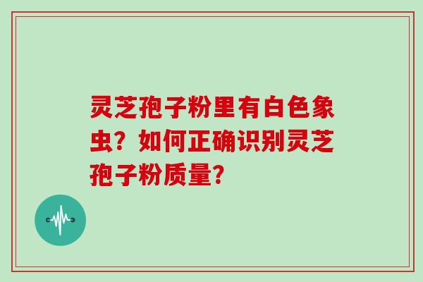 灵芝孢子粉里有白色象虫？如何正确识别灵芝孢子粉质量？