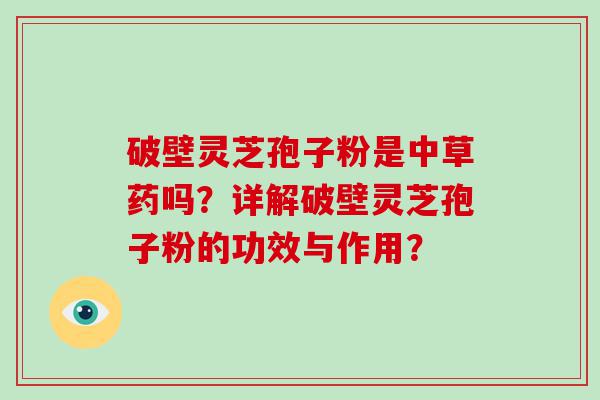 破壁灵芝孢子粉是中草药吗？详解破壁灵芝孢子粉的功效与作用？