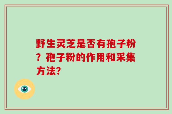 野生灵芝是否有孢子粉？孢子粉的作用和采集方法？