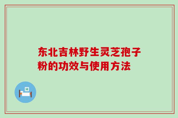 东北吉林野生灵芝孢子粉的功效与使用方法