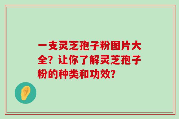 一支灵芝孢子粉图片大全？让你了解灵芝孢子粉的种类和功效？