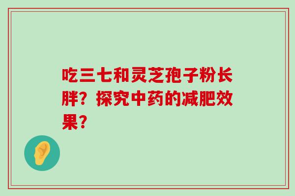 吃三七和灵芝孢子粉长胖？探究的效果？