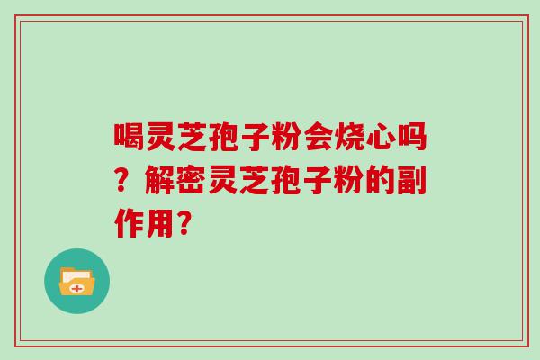 喝灵芝孢子粉会烧心吗？解密灵芝孢子粉的副作用？