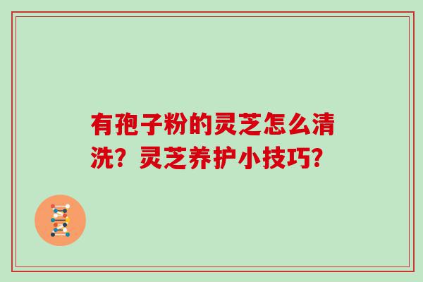 有孢子粉的灵芝怎么清洗？灵芝养护小技巧？