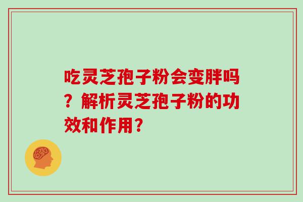 吃灵芝孢子粉会变胖吗？解析灵芝孢子粉的功效和作用？