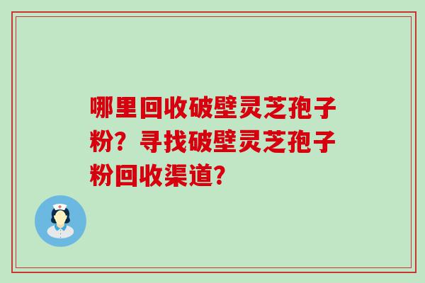 哪里回收破壁灵芝孢子粉？寻找破壁灵芝孢子粉回收渠道？