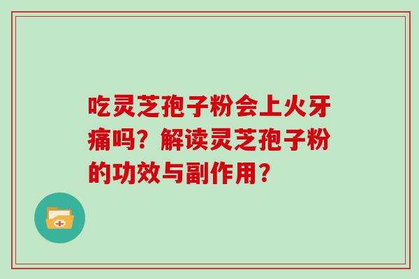 吃灵芝孢子粉会上火牙痛吗？解读灵芝孢子粉的功效与副作用？