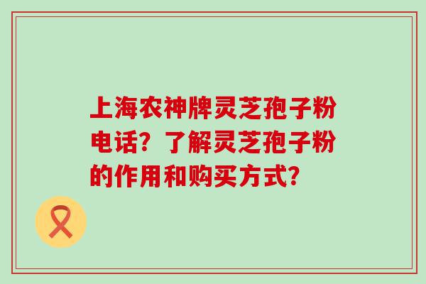 上海农神牌灵芝孢子粉电话？了解灵芝孢子粉的作用和购买方式？