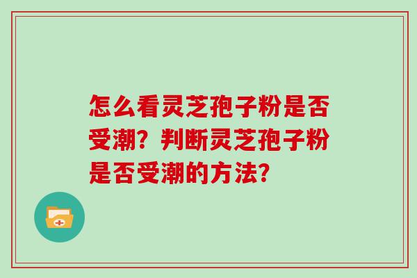 怎么看灵芝孢子粉是否受潮？判断灵芝孢子粉是否受潮的方法？