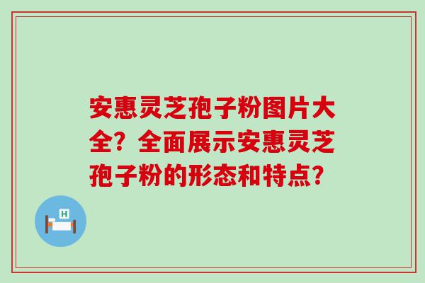 安惠灵芝孢子粉图片大全？全面展示安惠灵芝孢子粉的形态和特点？