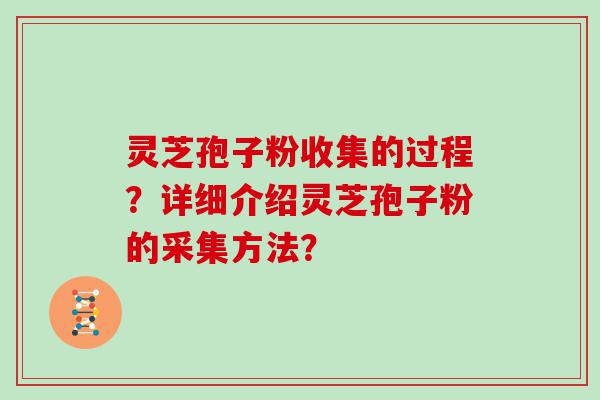 灵芝孢子粉收集的过程？详细介绍灵芝孢子粉的采集方法？