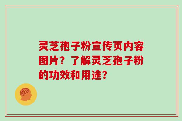 灵芝孢子粉宣传页内容图片？了解灵芝孢子粉的功效和用途？