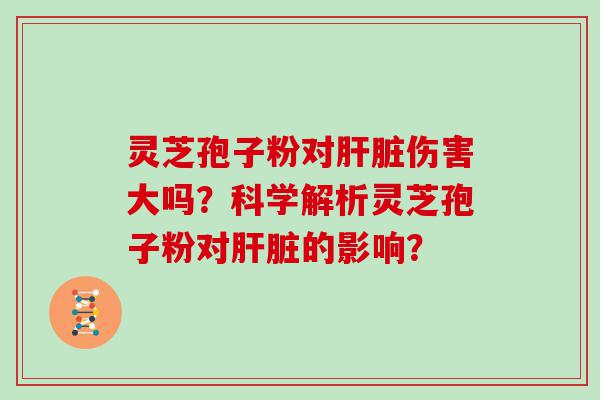 灵芝孢子粉对伤害大吗？科学解析灵芝孢子粉对的影响？