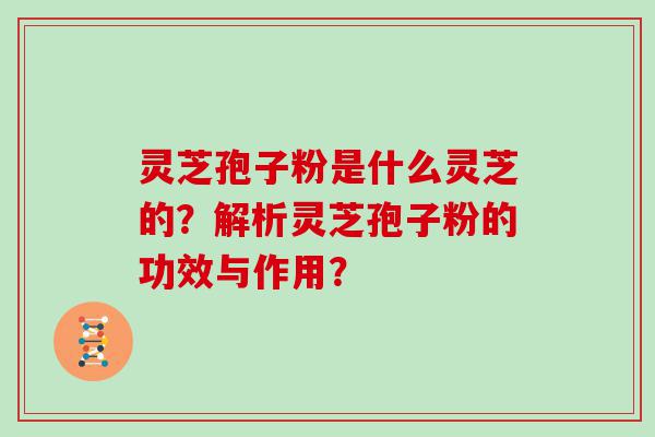 灵芝孢子粉是什么灵芝的？解析灵芝孢子粉的功效与作用？