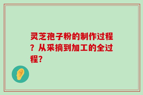 灵芝孢子粉的制作过程？从采摘到加工的全过程？