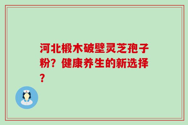 河北椴木破壁灵芝孢子粉？健康养生的新选择？