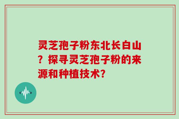 灵芝孢子粉东北长白山？探寻灵芝孢子粉的来源和种植技术？