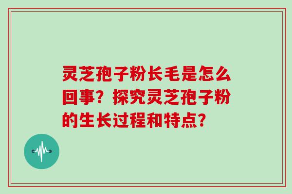 灵芝孢子粉长毛是怎么回事？探究灵芝孢子粉的生长过程和特点？