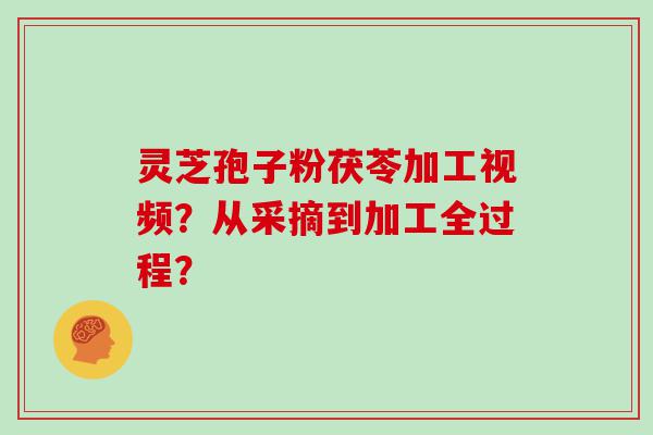 灵芝孢子粉茯苓加工视频？从采摘到加工全过程？