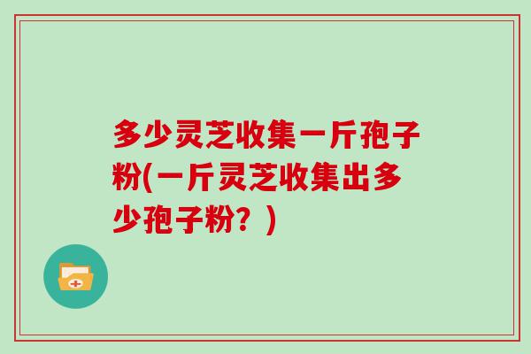 多少灵芝收集一斤孢子粉(一斤灵芝收集出多少孢子粉？)