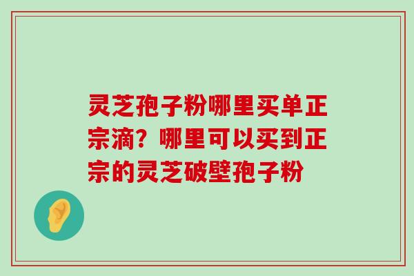 灵芝孢子粉哪里买单正宗滴？哪里可以买到正宗的灵芝破壁孢子粉