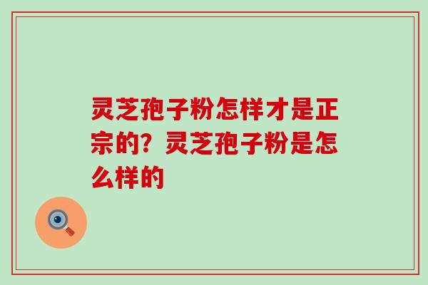 灵芝孢子粉怎样才是正宗的？灵芝孢子粉是怎么样的