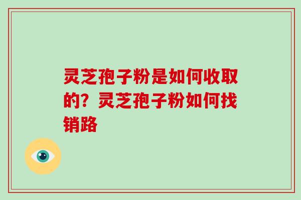 灵芝孢子粉是如何收取的？灵芝孢子粉如何找销路