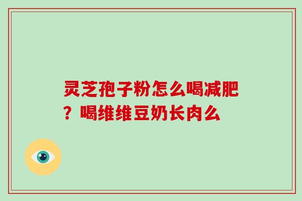 灵芝孢子粉怎么喝？喝维维豆奶长肉么