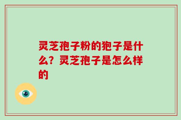 灵芝孢子粉的狍子是什么？灵芝孢子是怎么样的