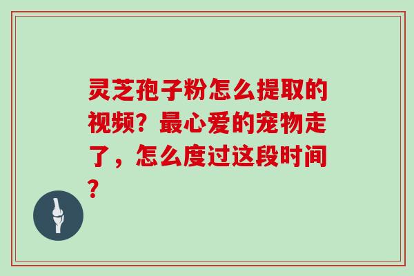 灵芝孢子粉怎么提取的视频？心爱的宠物走了，怎么度过这段时间？