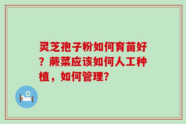 灵芝孢子粉如何育苗好？蕨菜应该如何人工种植，如何管理？