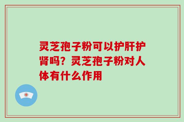 灵芝孢子粉可以护吗？灵芝孢子粉对人体有什么作用