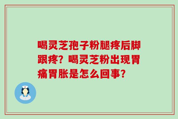 喝灵芝孢子粉腿疼后脚跟疼？喝灵芝粉出现胃痛胃胀是怎么回事？