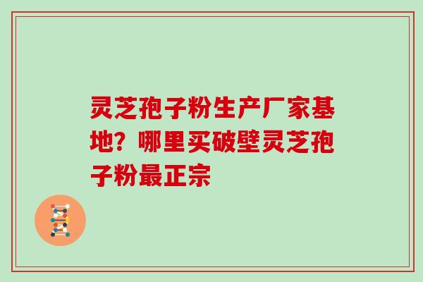 灵芝孢子粉生产厂家基地？哪里买破壁灵芝孢子粉正宗